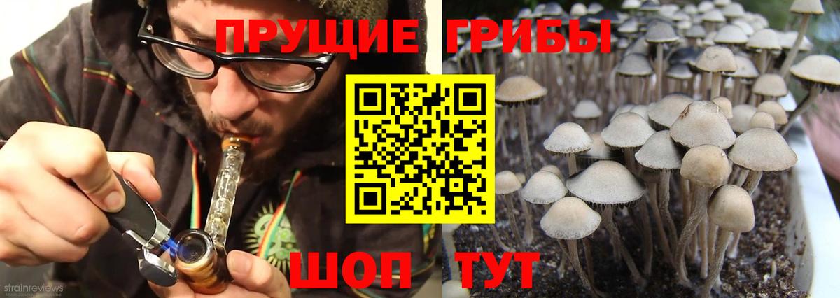 Псилоцибиновые грибы мицелий  Псилоцибиновые грибы MAGIC MUSHROOMS  Карасук  Вход с VPN 